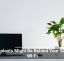 Houseplants Might Be Behind Your Sluggish Wi-Fi