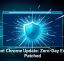 Urgent Chrome Update: Zero-Day Exploit Patched
