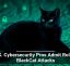 U.S. Cybersecurity Pros Admit Role in BlackCat Attacks